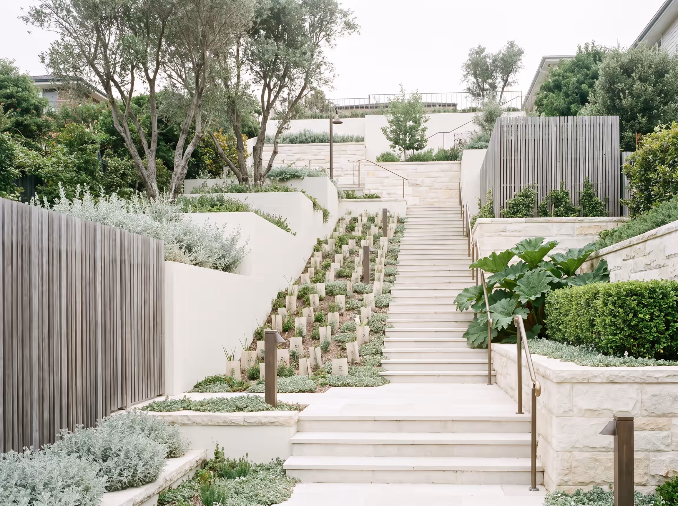 Quarry House — A cut slope stitched back with stone and natives.