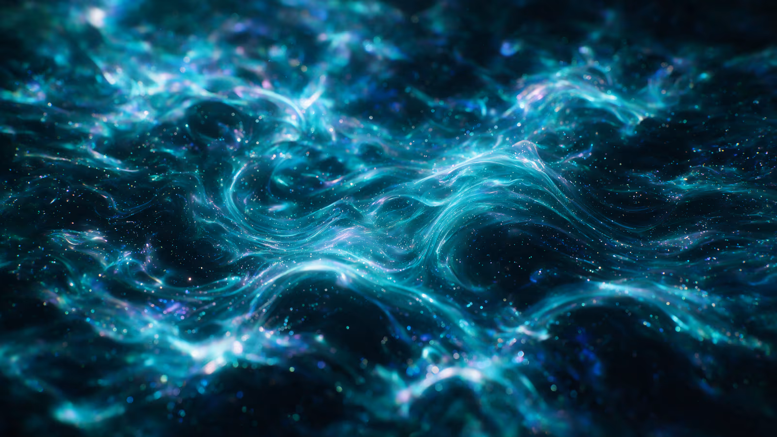 Motion field study