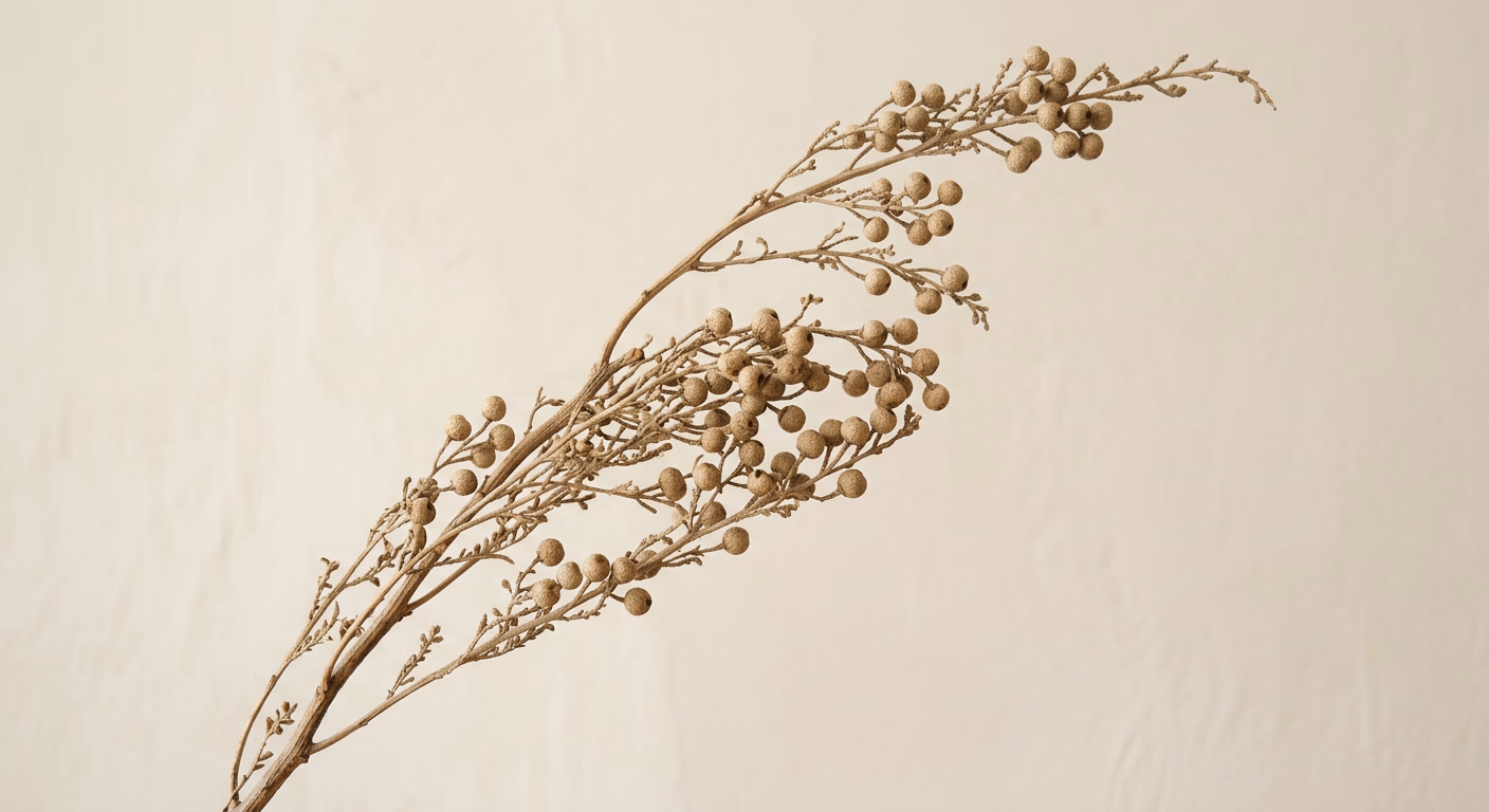 Botanical