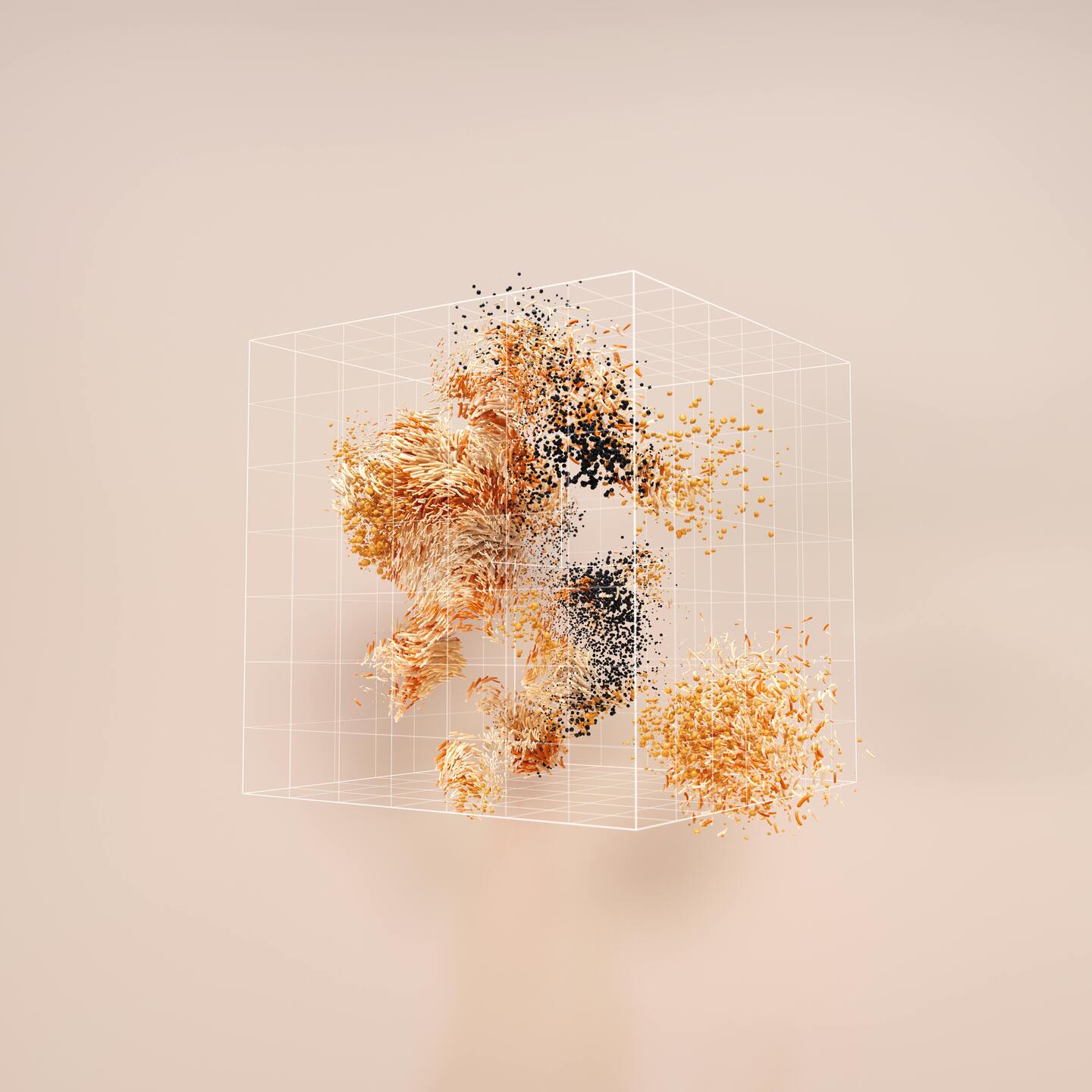 Nova