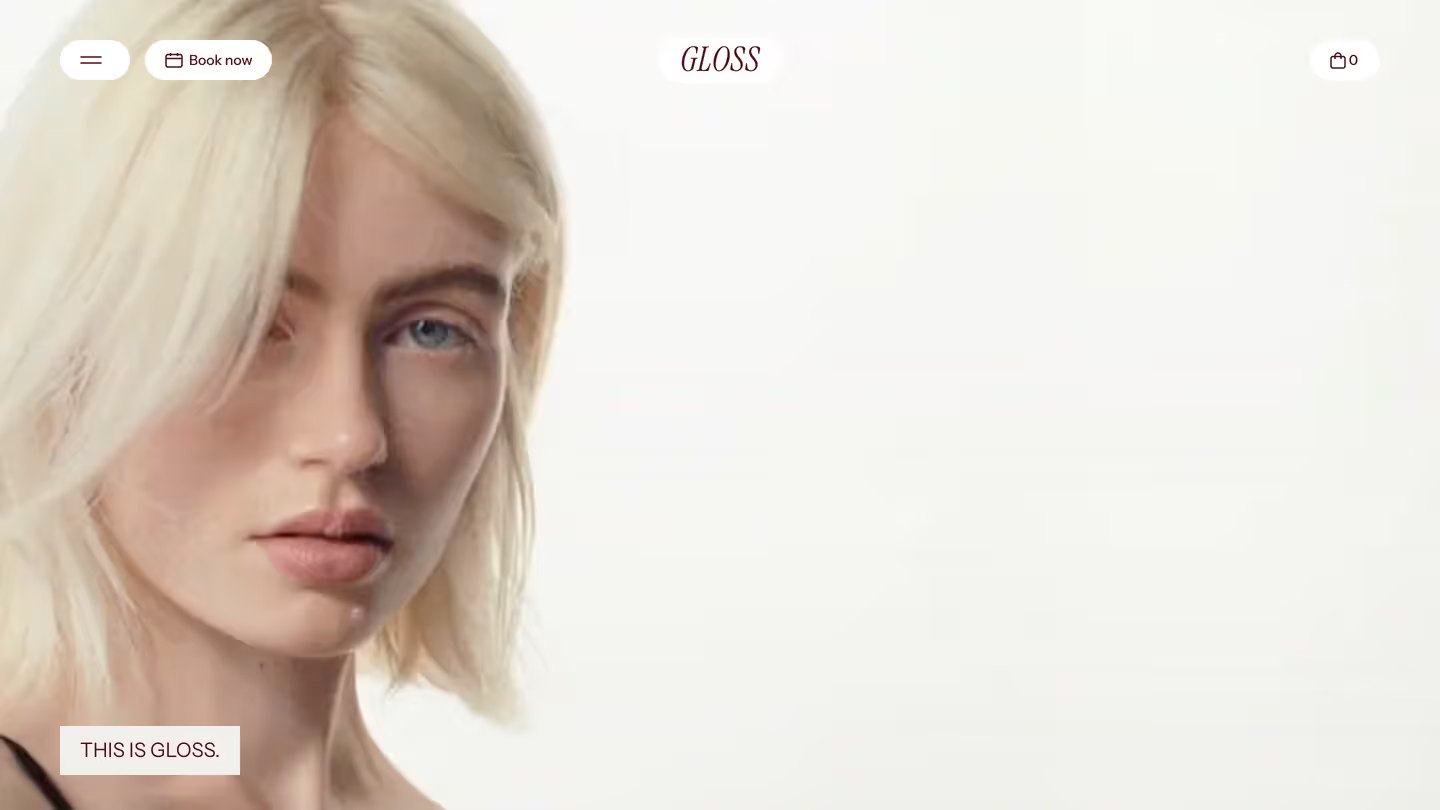 Gloss — website template preview